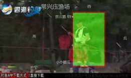 黑坑江湖爆料视频播放大全,揭秘视频播放大全背后的精彩故事